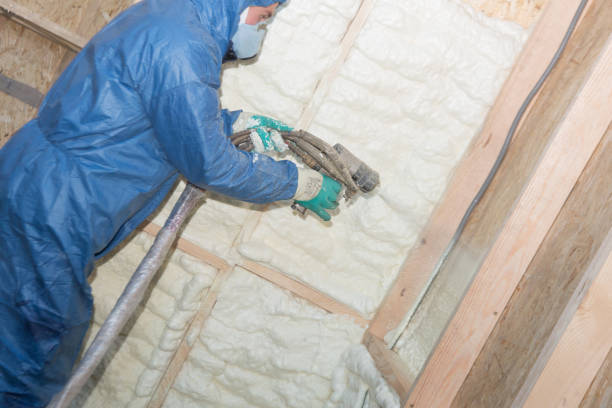 Best Attic Insulation Installation  in Tremont, IL